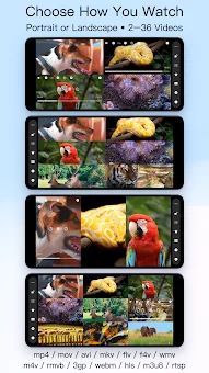 Split Screen Player: 36 Videos screenshot