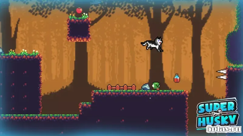 Super Husky: Adventure Platform Game screenshot 4