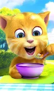 Talking Ginger 2 screenshot