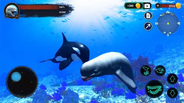 The Beluga Whale screenshot