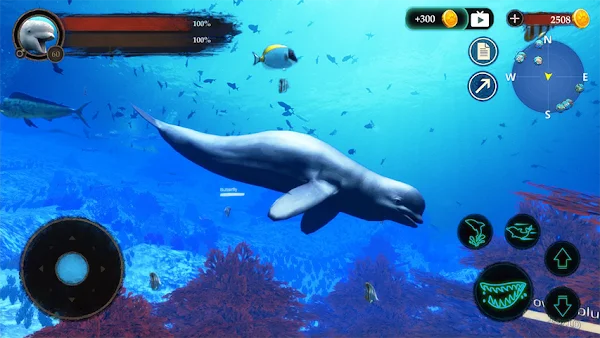 The Beluga Whale screenshot
