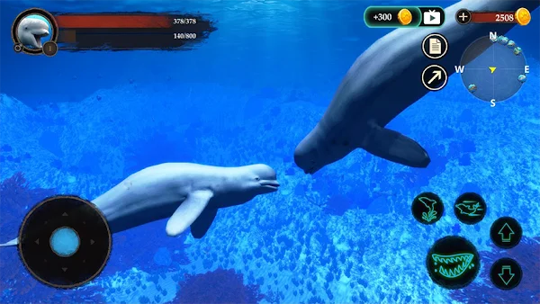 The Beluga Whale screenshot