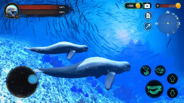 The Beluga Whale screenshot