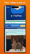TheFlap screenshot