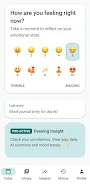 TwoMins: Micro Journal & Mood screenshot