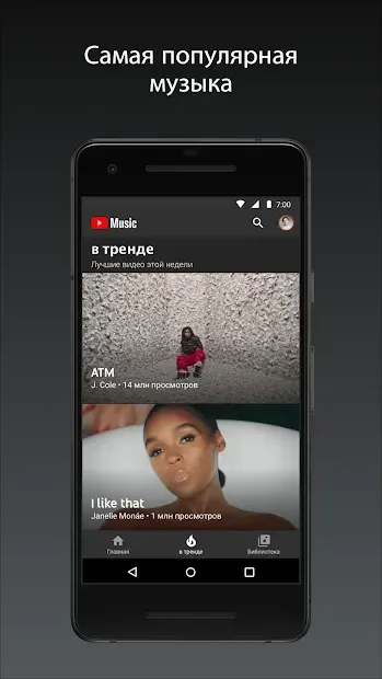Vanced YouTube Music screenshot 3