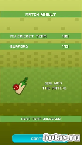 Village Cricket screenshot 4