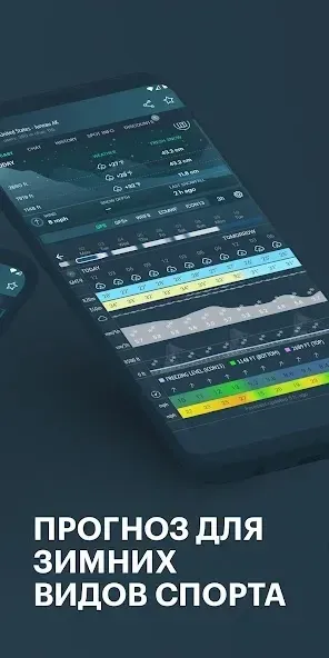 Windy.app - Wind, Wellen, Gezeiten 77.0.0 screenshot 3
