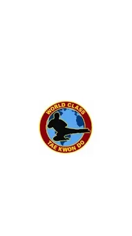 World Class Tae Kwon Do screenshot