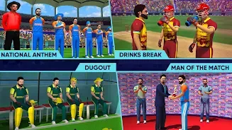 World Cricket Champions Lite screenshot