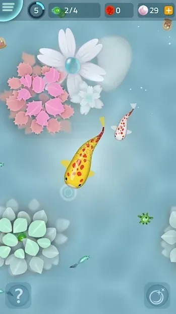 Zen Koi screenshot 4