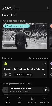 Zenit Sport screenshot