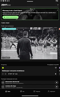 Zenit Sport screenshot