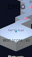 Zygo screenshot