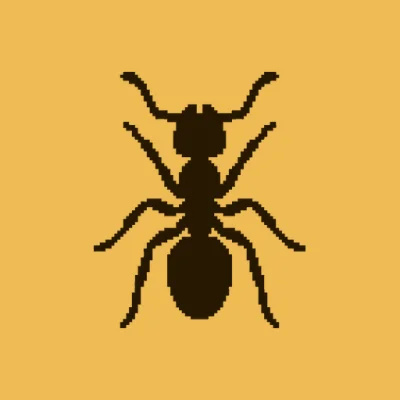 Ant & Beetle