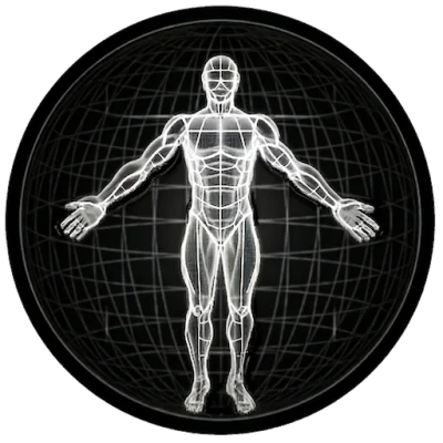 BodBot AI Personal Trainer