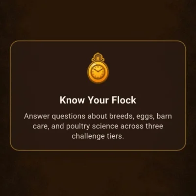 Cluck Clash Fansy