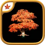 Fire Maple Games Collection 1.0.9