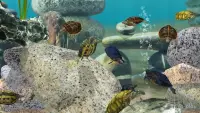 Idle Aquarium Tycoon 8.1.46