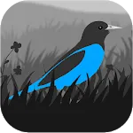 Grayland 1.10.05.01960