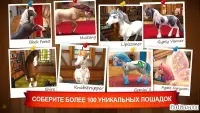 Horse Haven World Adventures 7.9.0