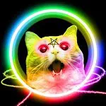 WTF Детектив