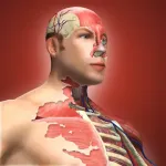 Human Cannonball 1.2.2