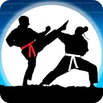 Karate Fighter : Real battles v14