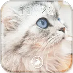 Кошеня Кухарчук: Три в ряд.