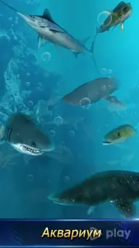 Farm Sim 2024 v1.0.3