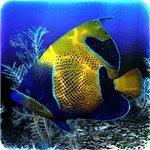 My 3D Fish II