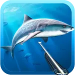 Фліп -дайвінг 3.5.20