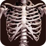 Solar System Scope 3.2.4