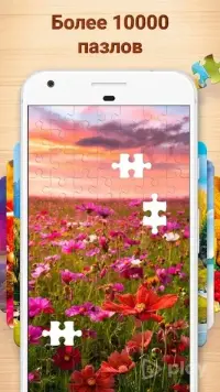 Mr Fight - пазлы на тему реслинга 1.5