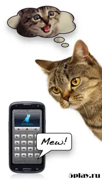 Кошачий отряд 1.2.18