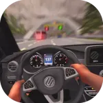 POV Car Driving 3.9