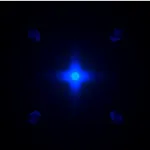 Don't Get Busted 1.3.1