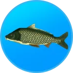 Моя Риболовля HD