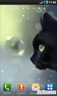 Daily Kitten: віртуальний кіт