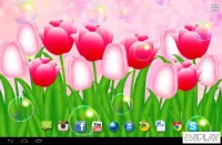 Завантажте весняні квіти 3D Parallax Pro 1.0.2 для Android безкоштовно