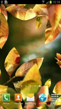 Fresh Leaves