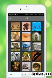 Animals Memory Game PRO 2018 v1.01