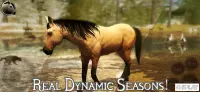 Ultimate Horse Simulator 1.1