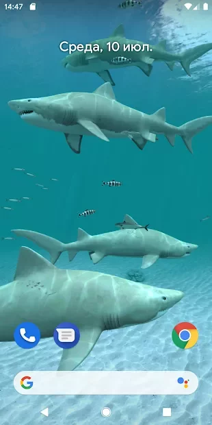 Sharks 3D - живі шпалери 1.0.0
