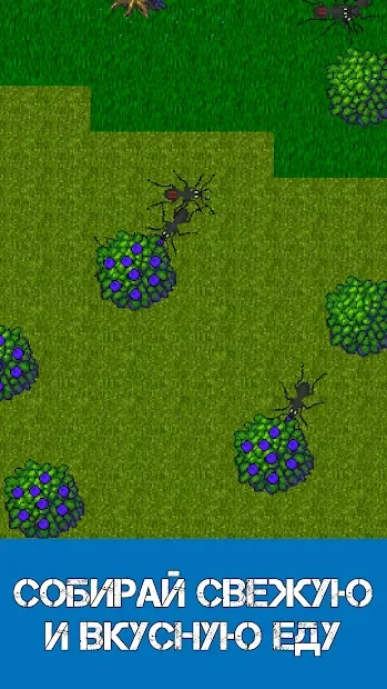 Ant Evolution - симулятор муравей 1.4.0