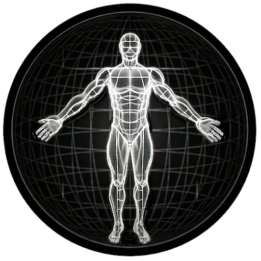 BodBot AI Personal Trainer