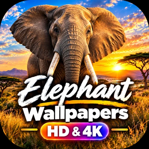 Elephant Wallpapers HD & 4K