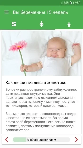 Календарь беременности 1.2.49