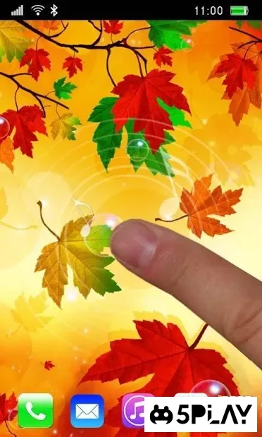 Завантажте осіннє листя в прямому ефірі шпалери 2.0 для Android безкоштовно