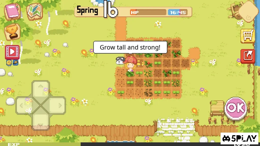 The Farm : Sassy Princess 1.1.8